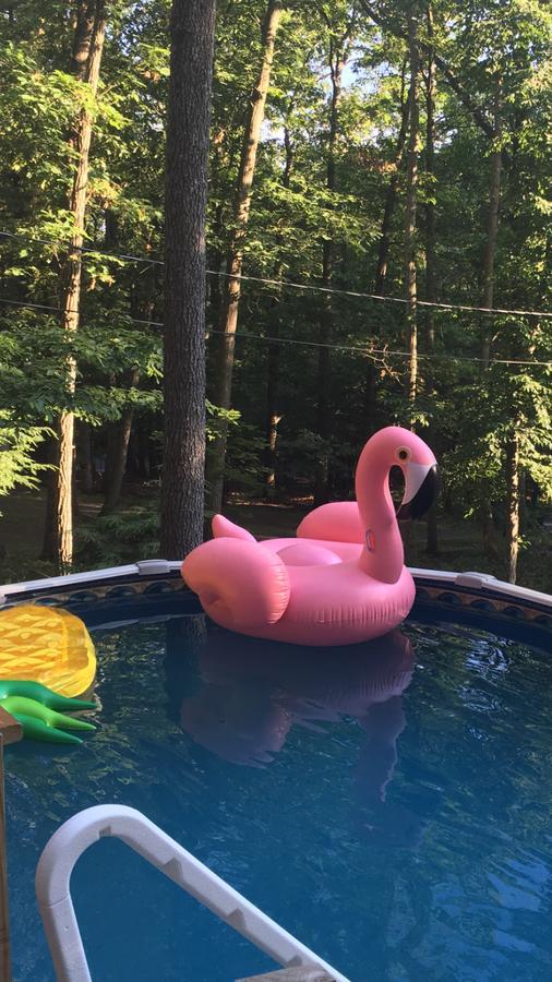 Pocono Cabin With Private Pool At Shawnee Mtn إيست سترودسبورغ المظهر الخارجي الصورة